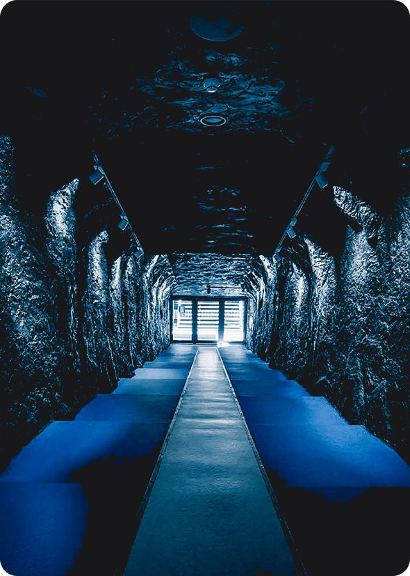 Spielertunnel der Veltins Arena